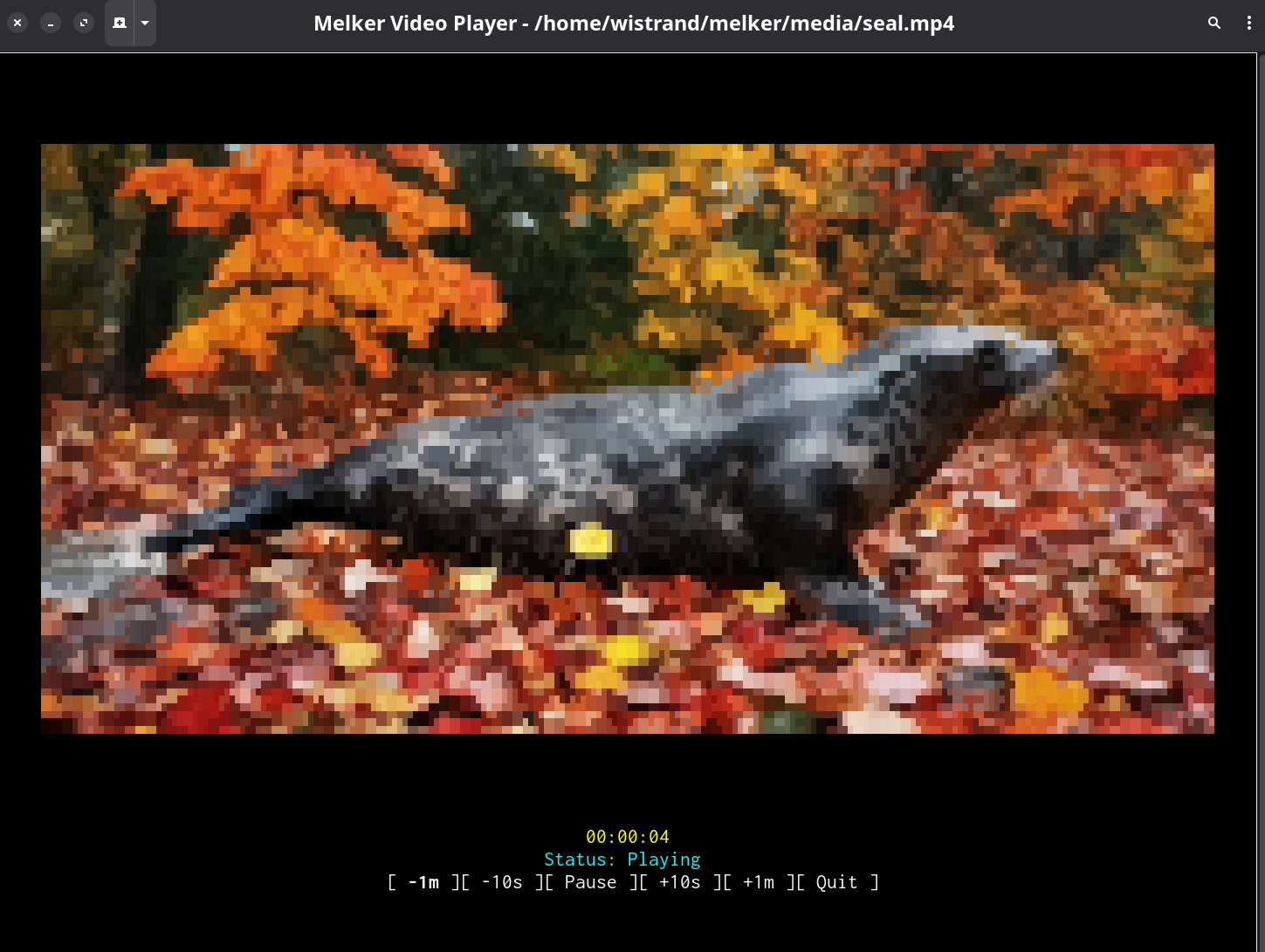 Melker video playback